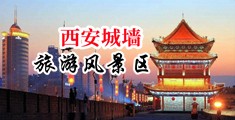 舔女下体中国陕西-西安城墙旅游风景区